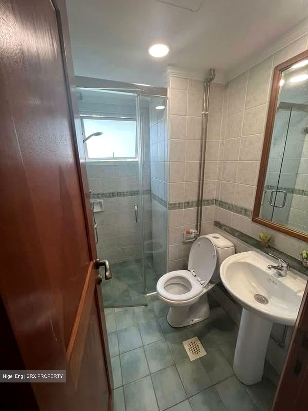 Emerald Garden (D1), Condominium #539579841
